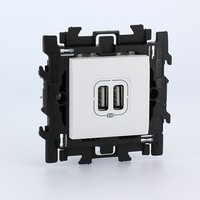 BTICINO living light usb lader dubbel met centraalplaat -spanklauwen BTICINO living light usb lader dubbel met centraalplaat -spanklauwen