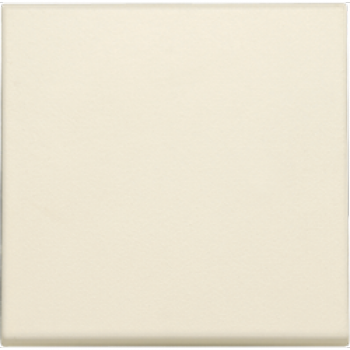 niko afwerkingsset voor een enkelvoudige elektronische schakelaar of drukknop (100)