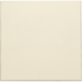 niko spuitwaterdichte blindplaat 45 x 45 mm (100)