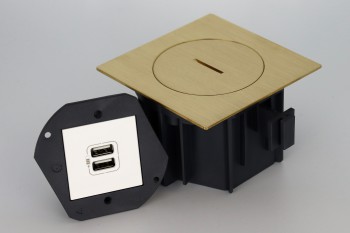 SQUARE arpi prise de chargement - 2 usb ip66 brushed brass