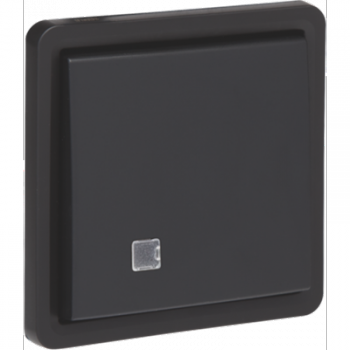 IP 55 controleschakelaar tweepolig 10a voor doos zwart IP 55 controleschakelaar tweepolig 10a voor doos zwart