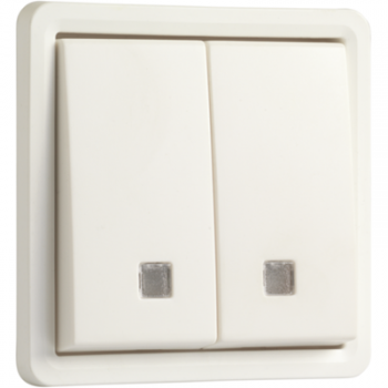 IP 55 bouton poussoir double 10a éclairable 2x no ou nf