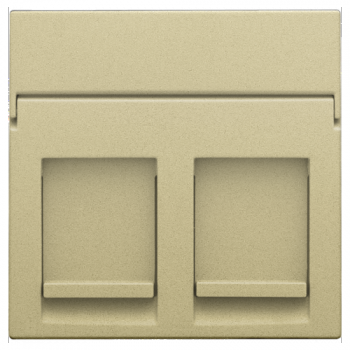 niko centraalplaat data voor 2 rj outlets gold coated (221)