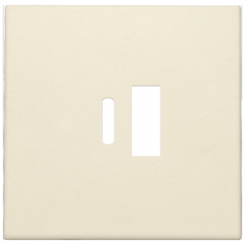 niko afwerkingsset voor dubbele smart usb-a en usb-c lader (100)