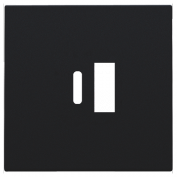 niko afwerkingsset voor dubbele smart usb-a en usb-c lader black coated (161)
