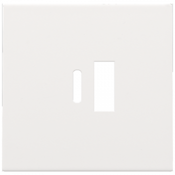 niko afwerkingsset voor dubbele smart usb-a en usb-c lader pure white coated (154)
