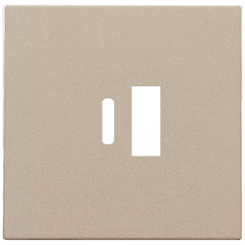 niko afwerkingsset voor dubbele smart usb-a en usb-c lader champagne coated (157)