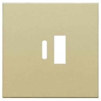 niko afwerkingsset voor dubbele smart usb-a en usb-c lader gold coated (221)