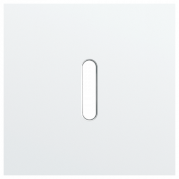 plaque de recouvrement pour 1 fonction simple rocker steel white coated (code154)