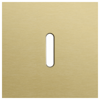 plaque de recouvrement pour 1 fonction simple rocker alu gold brushed (code 227)