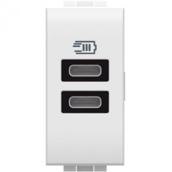 BTICINO living light usb contactdoos dubbel type c 15w 1 module wit