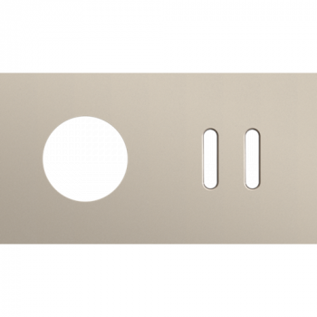 afdekplaat tweevoudig horizontaal 71 mm voor 1 stopcontact en 1 tweevoudig schakelfunctie rocker steel champagne coated (166)