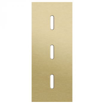 afdekplaat drievoudig verticaal 60mm voor 3 enkelvoudige schakelfunctie alu gold brushed (227)