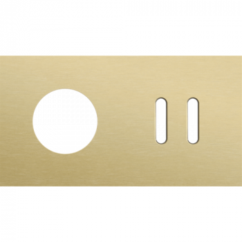 plaque de recouvrement double horizontale 71mm pour 1 prise de courant et 1 fonction double alu gold brushed (code 227)