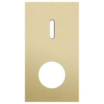 plaque de recouvrement double vertical 71mm pour 1 fonction simple et 1 prise de courant alu gold brushed (code 227)