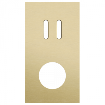 plaque de recouvrement double vertical 71mm pour 1 fonction double et 1 prise de courant alu gold brushed (code 227)