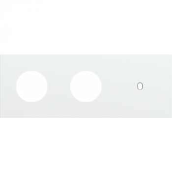 afdekplaat drievoudig horizontaal 71mm voor 2 stopcontacten en 1 enkelvoudige schakelfunctie toggle steel white coated (154)