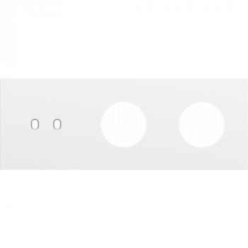afdekplaat drievoudig horizontaal 71mm voor 1 tweevoudige schakelfunctie en 2 stopcontacten toggle steel white coated (154)