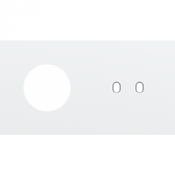 afdekplaat tweevoudig horizontaal 71 mm voor 1 stopcontact en 1 tweevoudige schakelfunctie toggle steel white coated (154)