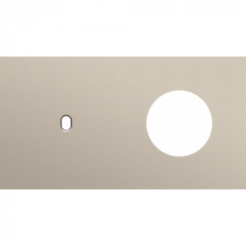 afdekplaat tweevoudig horizontaal 71 mm voor 1 enkelvoudige schakelfuncties en 1 stopcontact toggle steel champagne coated (166)