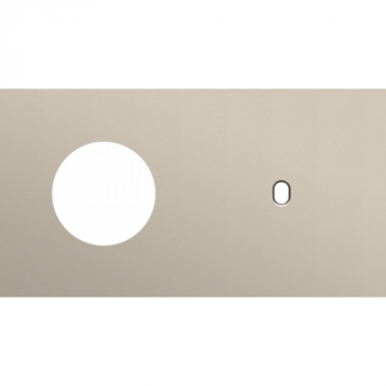 afdekplaat tweevoudig horizontaal 71 mm voor 1 stopcontact en 1 enkelvoudige schakelfunctie toggle steel champagne coated (166)