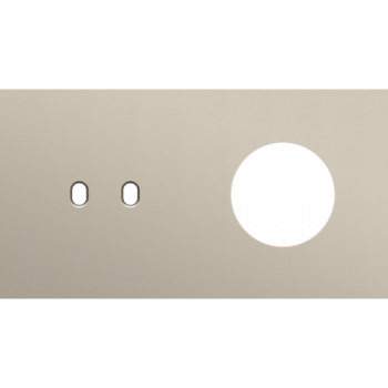 afdekplaat tweevoudig horizontaal 71 mm voor 1 tweevoudige schakelfunctie en 1 stopcontact toggle steel champagne coated (166)