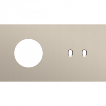 afdekplaat tweevoudig horizontaal 71 mm voor 1 stopcontact en 1 tweevoudige schakelfunctie toggle steel champagne coated (166)