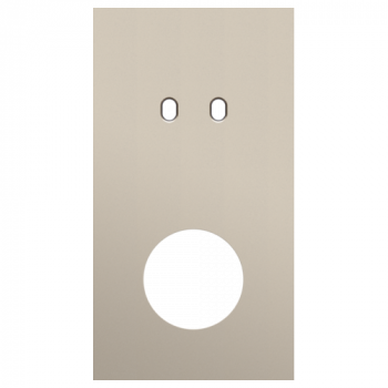 afdekplaat tweevoudig verticaal 71mm voor 1 tweevoudige schakelfunctie en 1 stopcontact toggle steel champagne coated (166)
