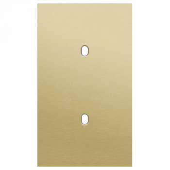 plaque de recouvrement double vertical 60 mm pour 2 fonctions simple toggle alu gold brushed (227)