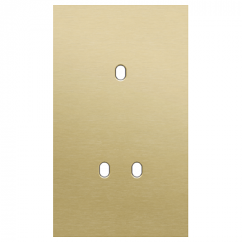 plaque de recouvrement double vertical 60 mm pour 1 fonction simple et 1 fonction double toggle alu gold brushed (227)