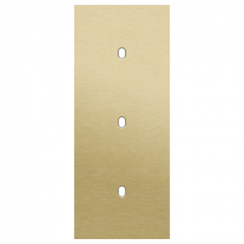 plaque de recouvrement triple vertical 60 mm pour 3 fonctions simple toggle alu gold brushed (227)