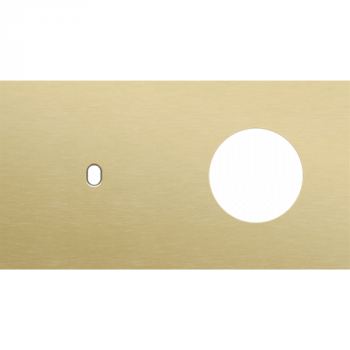 afdekplaat tweevoudig horizontaal 71 mm voor 1 enkelvoudige schakelfuncties en 1 stopcontact toggle alu gold brushed (227)