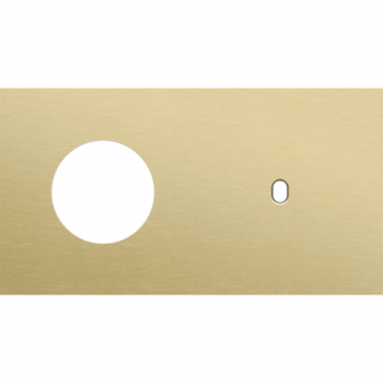 afdekplaat tweevoudig horizontaal 71 mm voor 1 stopcontact en 1 enkelvoudige schakelfunctie toggle alu gold brushed (227)
