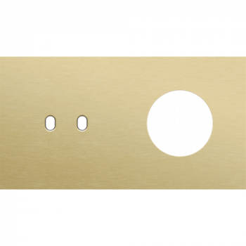 plaque de recouvrement double horizontale 71mm pour 1 fonction double et 1 prise de courant toggle alu gold brushed (227)