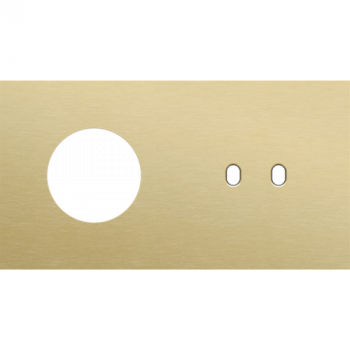 afdekplaat tweevoudig horizontaal 71 mm voor 1 stopcontact en 1 tweevoudige schakelfunctie toggle alu gold brushed (227)