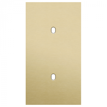 plaque de recouvrement double vertical 71mm pour 2 fonctions simple toggle alu gold brushed (227)