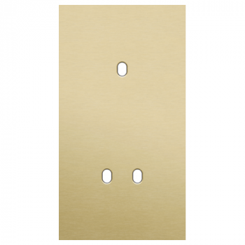 afdekplaat tweevoudig verticaal 71mm voor 1 enkelvoudige en 1 tweevoudige schakelfunctie toggle alu gold brushed (227)
