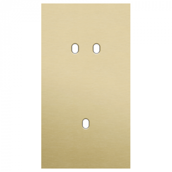 plaque de recouvrement double vertical 71mm pour 1 fonction double et 1 fonction simple toggle alu gold brushed (227)