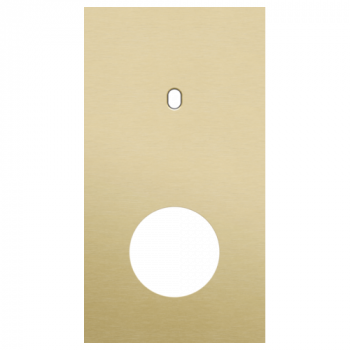 afdekplaat tweevoudig verticaal 71mm voor 1 enkelvoudige schakelfunctie en 1 stopcontact toggle alu gold brushed (227)
