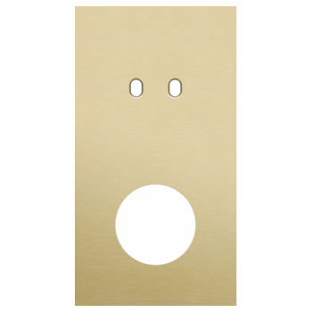 afdekplaat tweevoudig verticaal 71mm voor 1 tweevoudige schakelfunctie en 1 stopcontact toggle alu gold brushed (227)