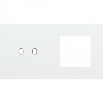 afdekplaat tweevoudig horizontaal 71 mm voor tweevoudige schakelfunctie toggle en één 45 x 45 functie steel white coated (154)