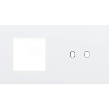 plaque de recouvrement double horizontale 71mm pour 1 fonction 45 x 45 et 1 fonction double toggle steel white coated (154)