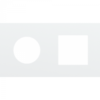 afdekplaat tweevoudig horizontaal 71 mm voor 1 stopcontact en één 45 x 45 mm functie steel white coated (154)