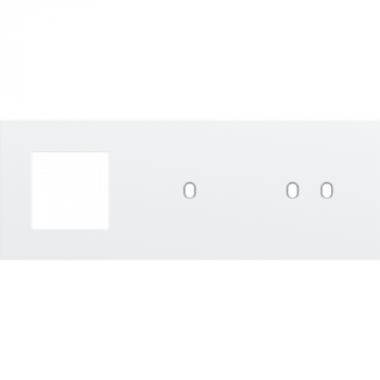 afdekplaat drievoudig horizontaal 71mm voor één 45 x 45 , 1 enkelvoudige en 1 tweevoudig schakelfunctie toggle steel white coated (154)
