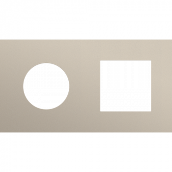 afdekplaat tweevoudig horizontaal 71 mm voor 1 stopcontact en één 45 x 45 mm functie steel champagne coated (166)