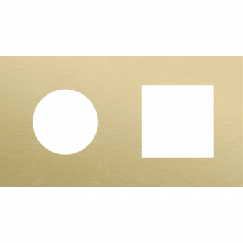 afdekplaat tweevoudig horizontaal 71 mm voor 1 stopcontact en één 45 x 45 mm functie alu gold brushed (227)