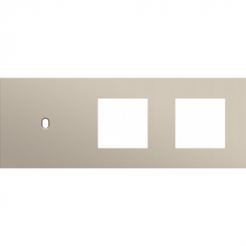 afdekplaat drievoudig horizontaal 71mm voor 1 enkelvoudig schakelfunctie en 2 functies 45 x45 toggle steel champagne coated (166)