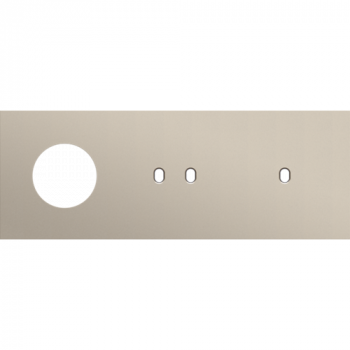 afdekplaat drievoudig horizontaal 71mm voor 1 stopcontact, 1 tweevoudig en 1 enkelvoudig schakelfunctie toggle steel champagne coated (166)
