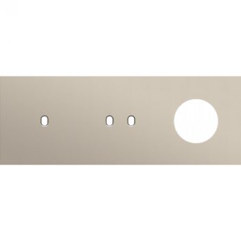 afdekplaat drievoudig horizontaal 71mm voor 1enkelvoudig en 1 tweevoudig schakelfunctie, 1 stopcontact toggle steel champagne coated (166)