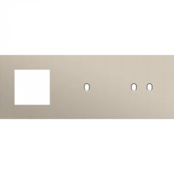 afdekplaat drievoudig horizontaal 71mm voor één stopcontact, 1 tweevoudig schakelfunctie , 1 stopcontact toggle steel champagne coated (166)